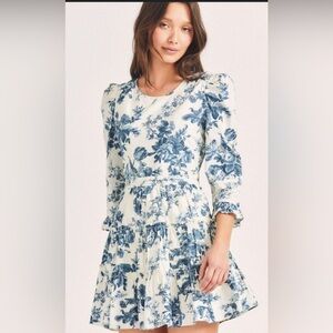 LoveShackFancy Floral Blue and White Dress 4